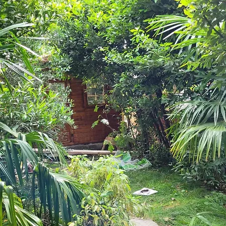 Historisches Haus Im Herzen Von בית נופש קריקווניצה
